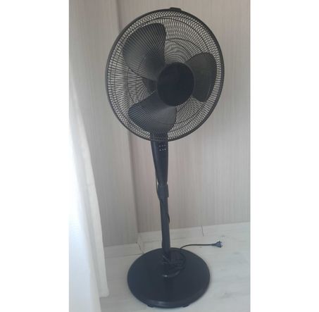 Fan